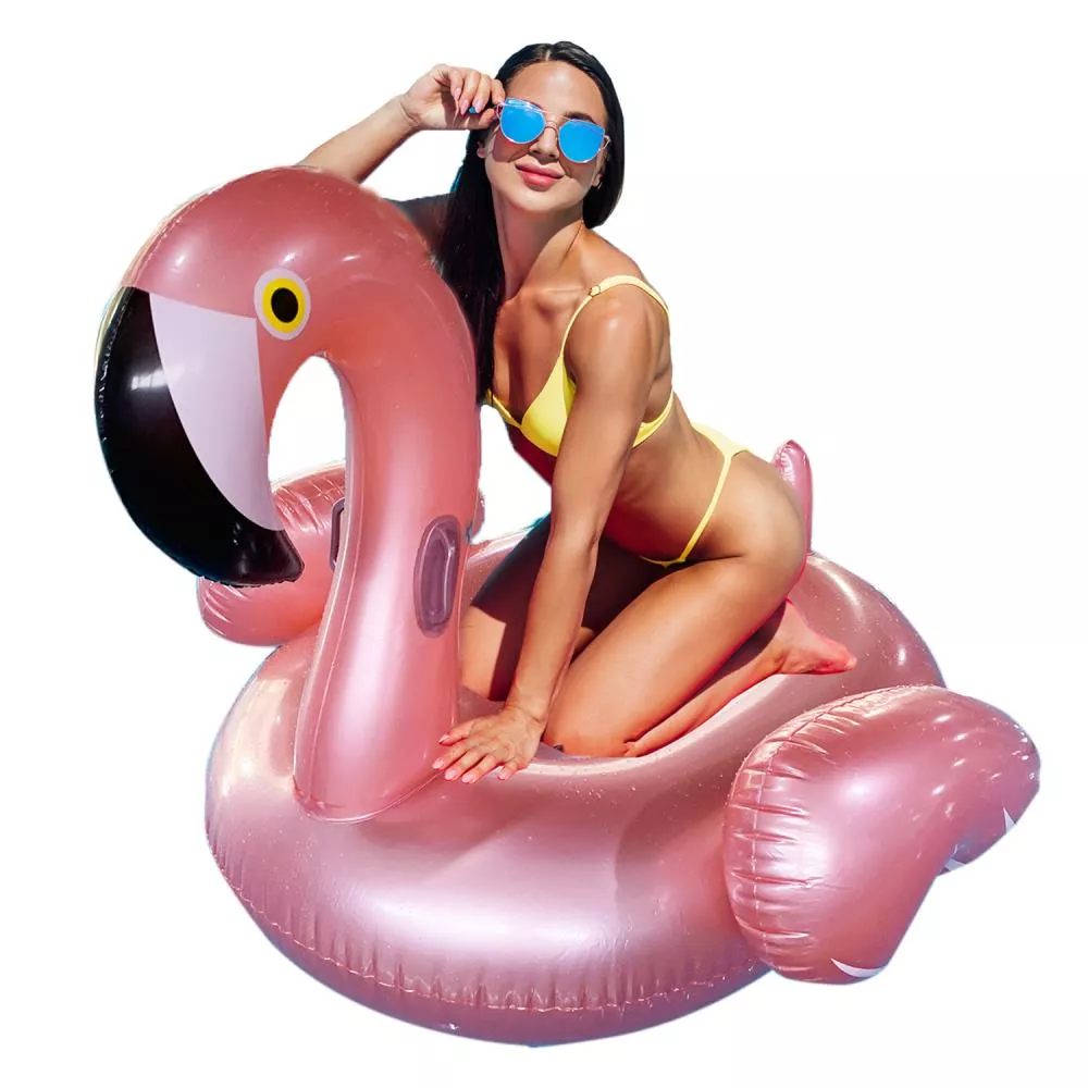 Flamingo Float