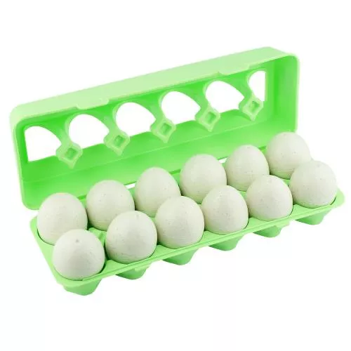 Dinosaur Egg Matching Toy image 5