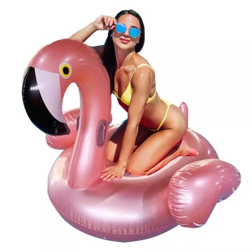 Flamingo Float
