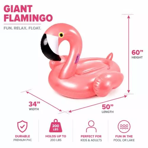 Flamingo Float image 7