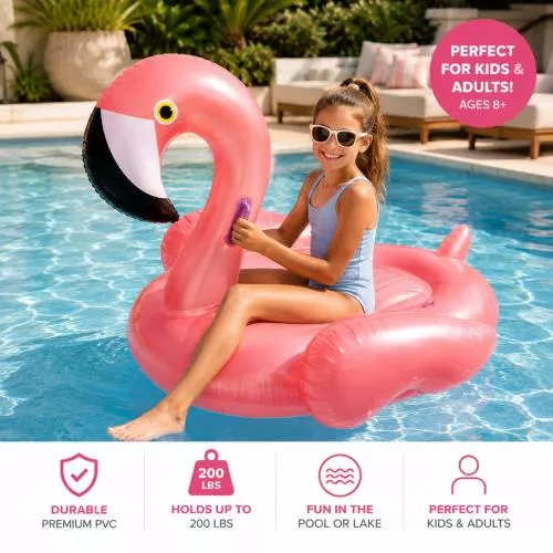 Flamingo Float image 3