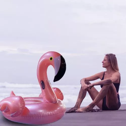 Flamingo Float image 5