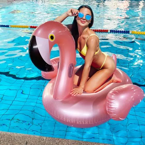 Flamingo Float image 7