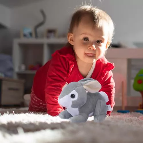 Grey Baby Plush Rabbit image 4