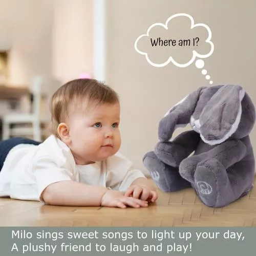 Grey & Purple Bunny Animated image 8